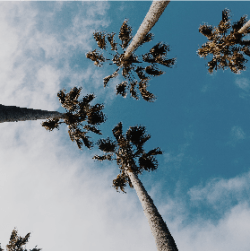 San Diego - San Diego